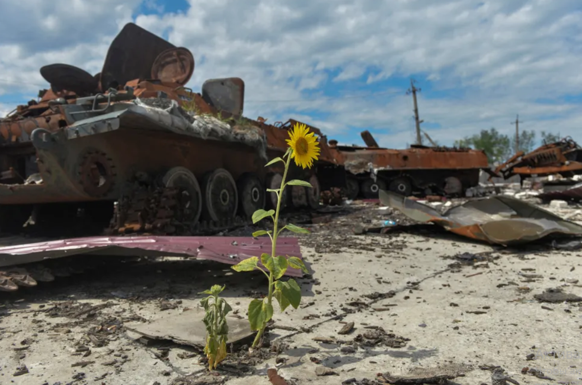 Екологічні рани війни: Як терор Росії знищує природу України.